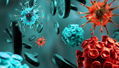 How Does Your Immune System Protect You Daily?